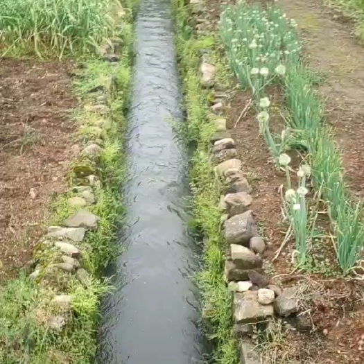 常宁市 水浇地，村里直接流转！