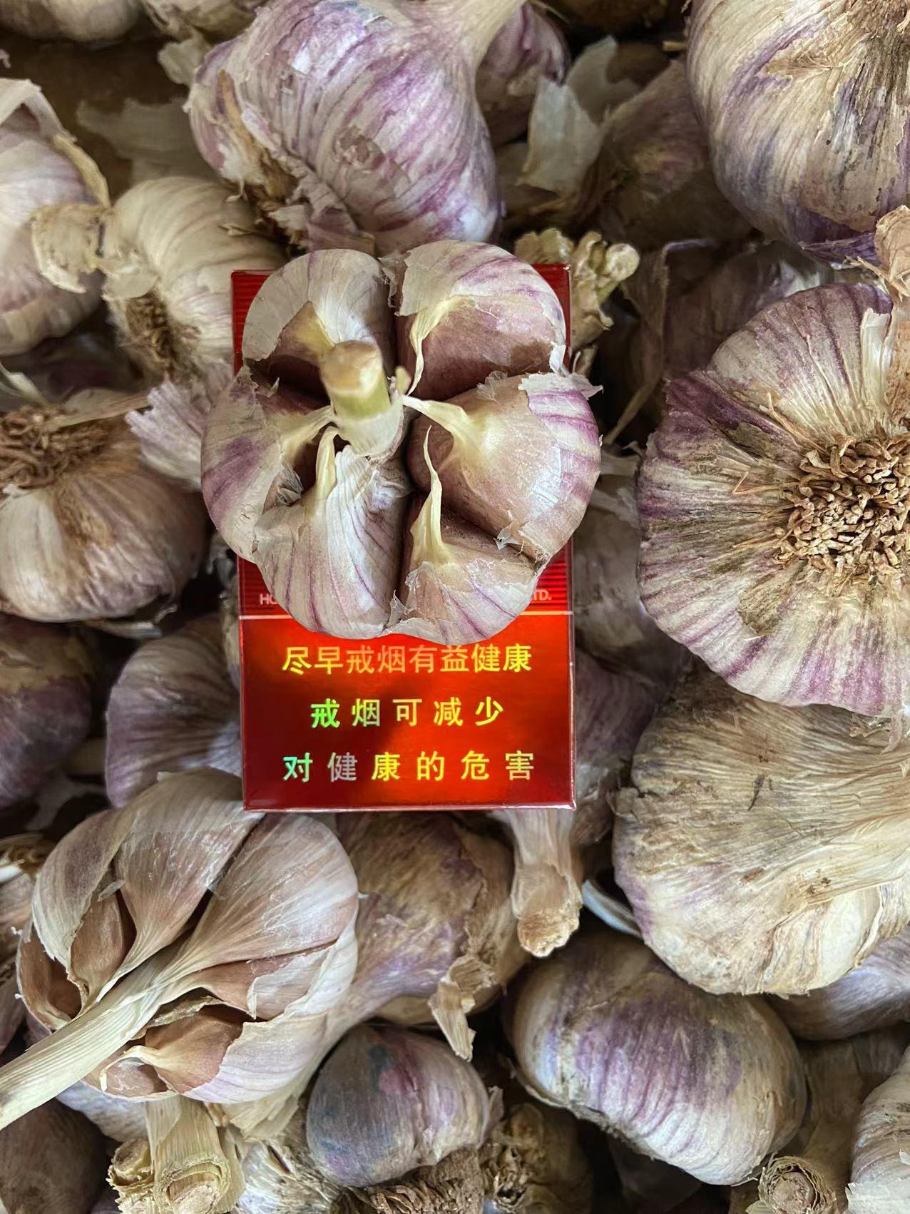 红皮蒜  红蒜新蒜大蒜干蒜  10斤起 （下单后24小时内发