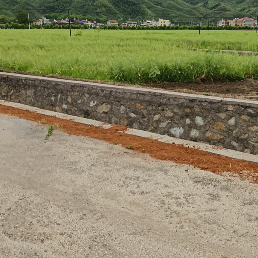 水浇地 村里直接流转！