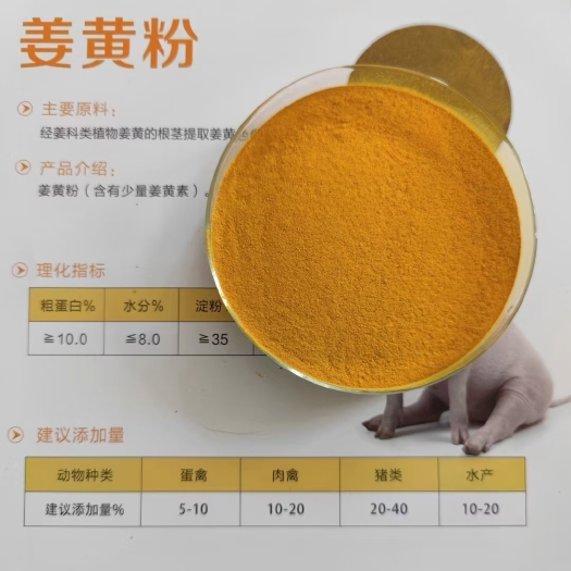 曲周县矿物质饲料 常年供应姜黄粉