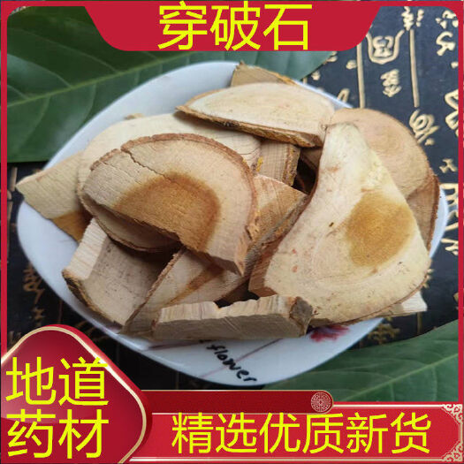 穿破石中药材（地下根） 冷背药 一 公斤包邮 量大从优