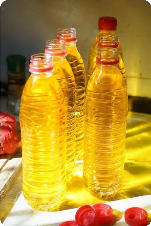 深圳 山茶油