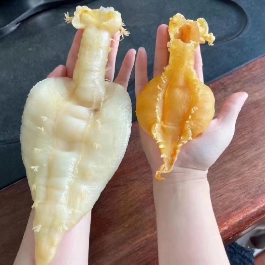 湛江花胶 22头刺花赤嘴公纯公赤嘴胶胶质好厚肉
