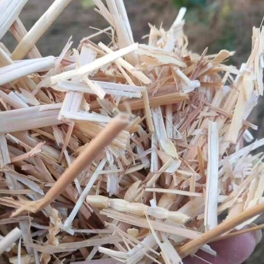 方城县揉丝小麦秸秆