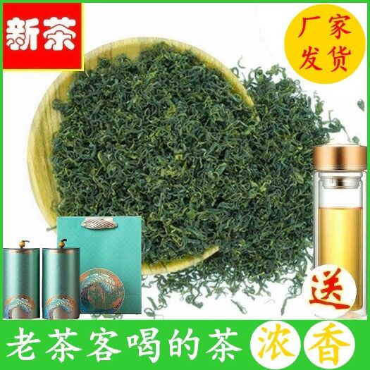 日照日照绿茶茶叶正宗2021新茶散装山东浓香型高山云雾特级