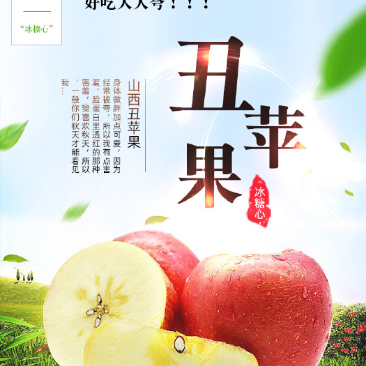 中山市红富士苹果 山西红富士冰糖心苹果丑苹果脆甜多汁当季新鲜水果现