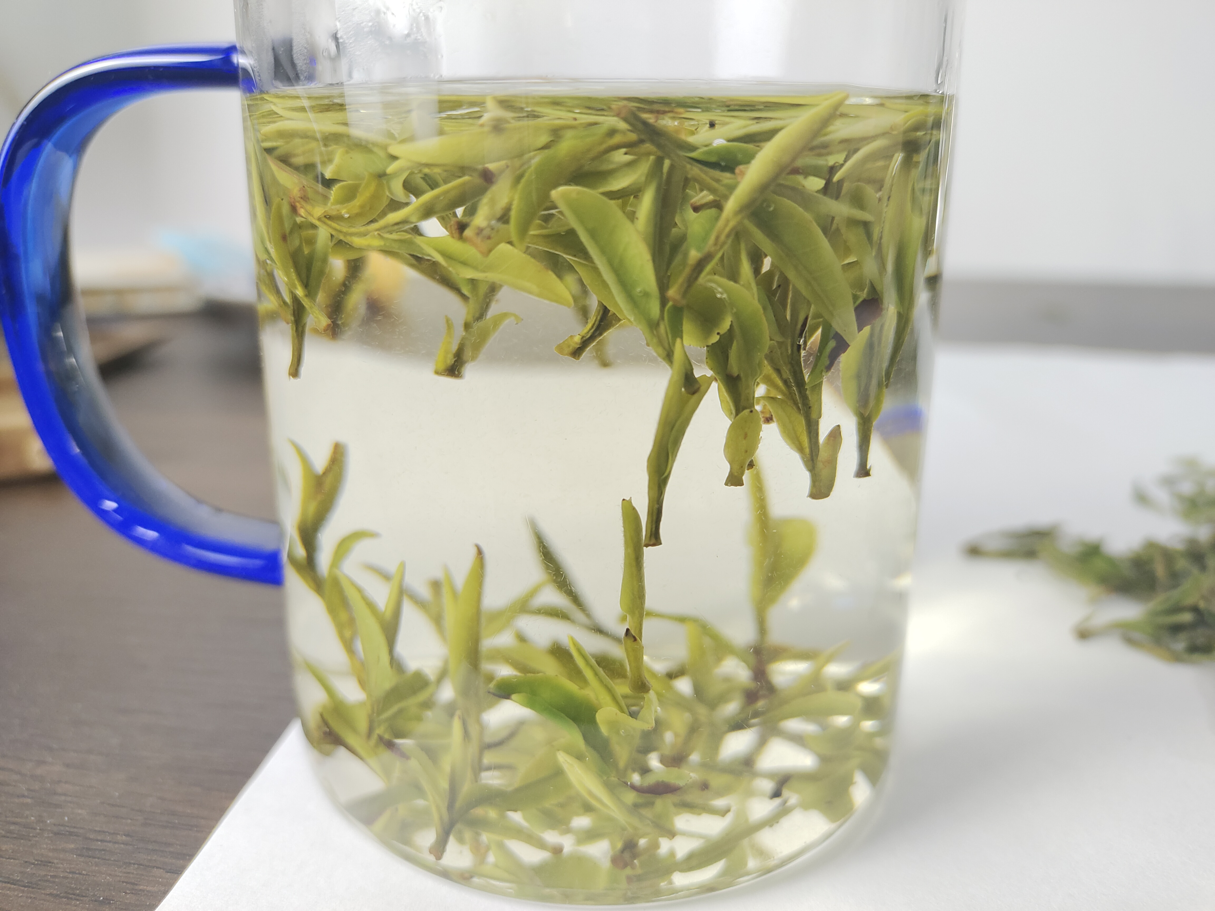 云雾茶  毛峰茶 绿茶 2022新茶上市