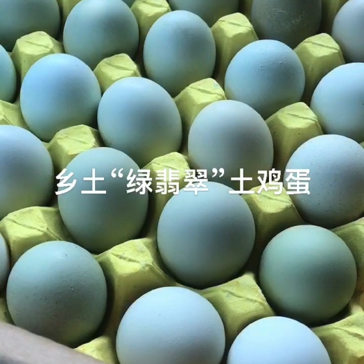 通海县土鸡蛋