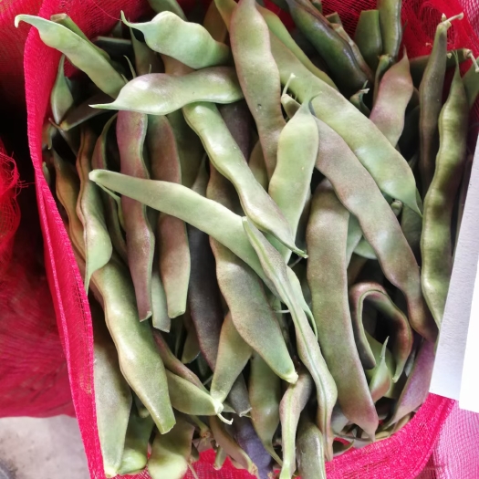 成武县油豆角 油豆