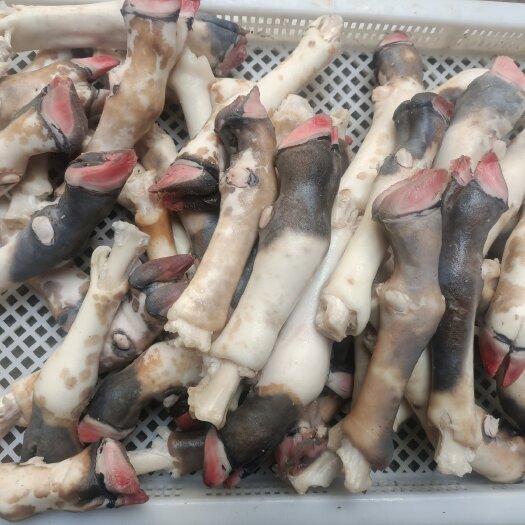 临沂 羊蹄