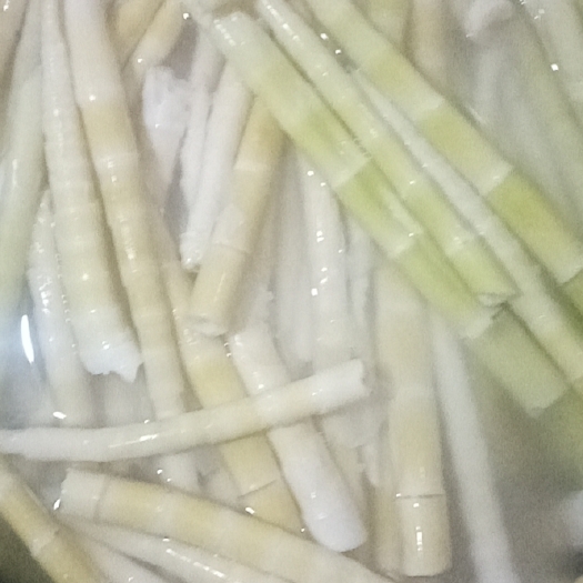 丰城市鲜竹荪 有需要的联系