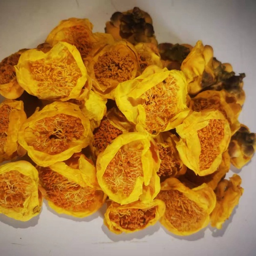 防城港百年大树采集的小叶金花茶，质量等级特级！24小时发货