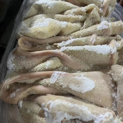 8分熟新鲜纯干无碱发牛肚，