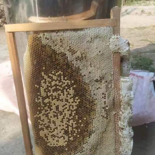 德庆县 百花蜜