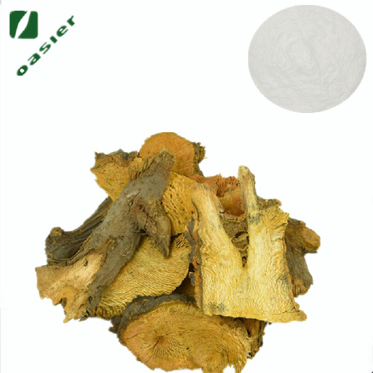 宝鸡植物添加剂 欧泽生物 饲料级 虎杖提取物 50%白藜芦醇 50%大黄素
