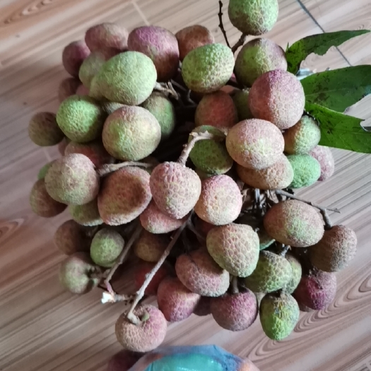 金平县 荔枝