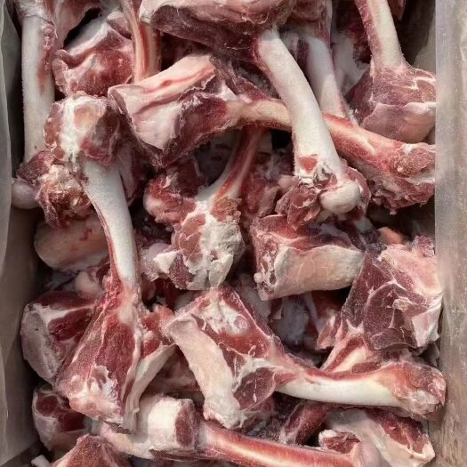 河间市羊骨 加肉羊腿骨