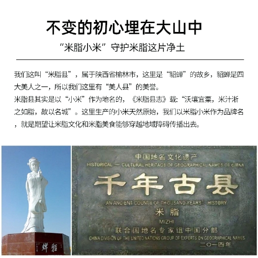 米脂县黄小米 米脂小米