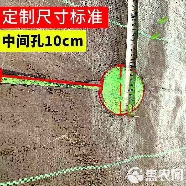 防草布开孔切片地布园艺农用地布除草布盖草地地膜透气果树地膜