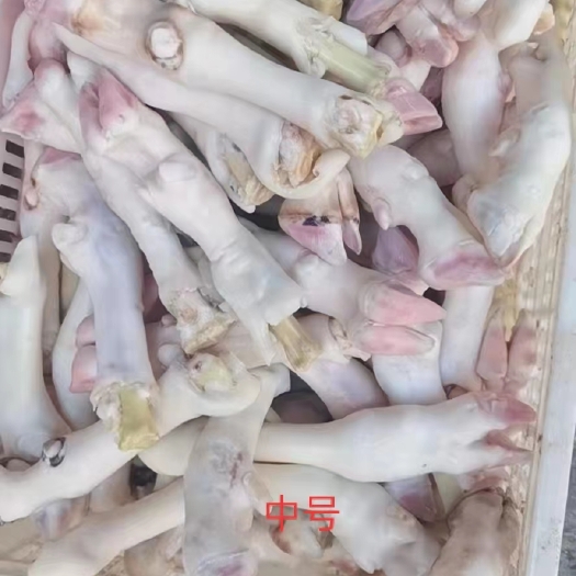 商河县清真中号羊蹄