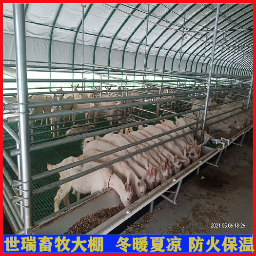 宁津县 养羊棚建设价格肉羊养殖大棚搭建保温羊舍大棚施工厂家