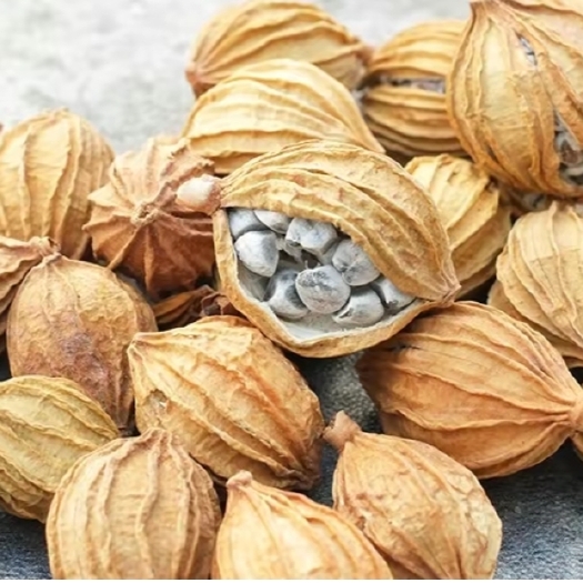荣县四川出售自家种香砂仁，可每年供货