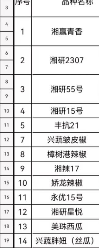 长沙 各类辣椒苗批发
