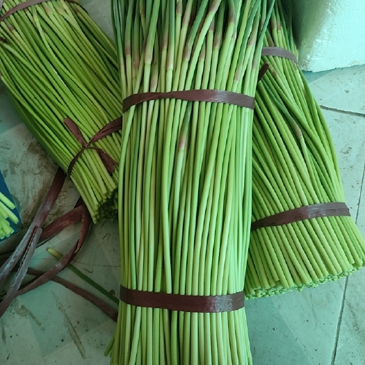 商丘红帽蒜苔 河南省商丘市宁陵县 40~50cm 