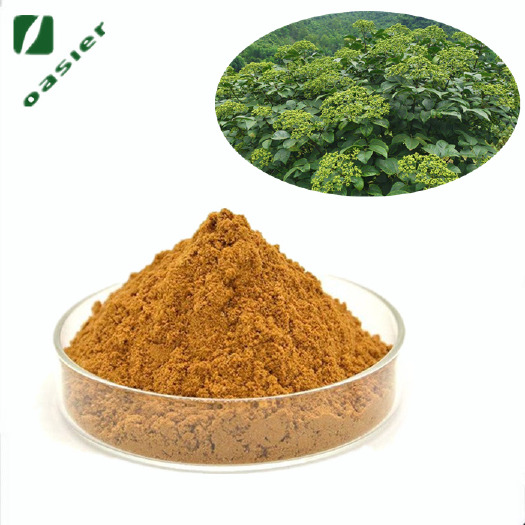 宝鸡植物添加剂 欧泽生物 饲料级 吴茱萸提取物10:1 吴茱萸碱98%