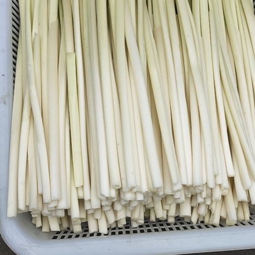 微山县蒲菜批发