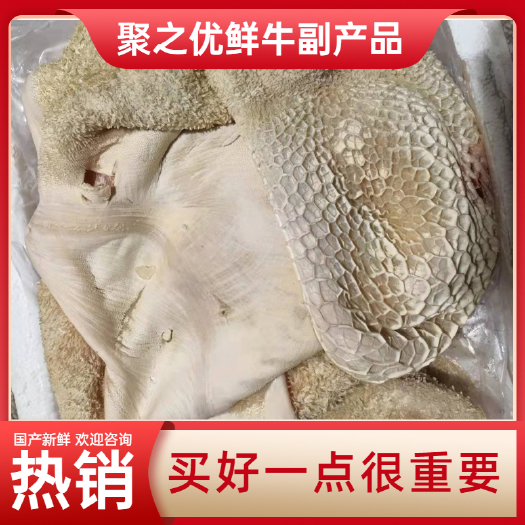 汕头【出成率高】本地新鲜飞水熟牛肚过水半成品生牛肚精修去油无碱发