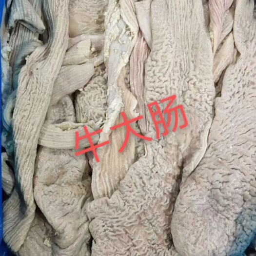大厂县牛肠  精品鲜牛大肠   每天鲜货接受老板定制