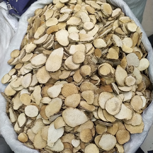 成都泽泻
