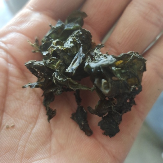 内乡县免洗地皮菜。