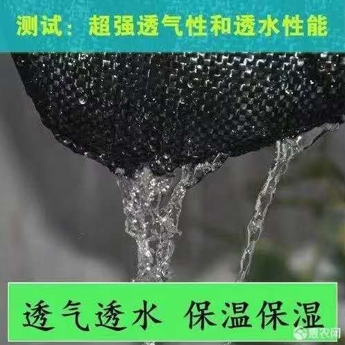 防草布 透气抗老化厂家pp，pe除草布盖草布
支持定制遮草布