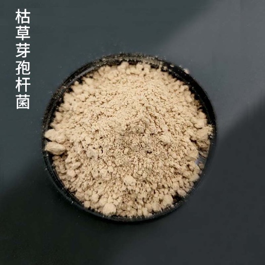 枯草芽孢杆菌微生物菌剂改土厂家直发包邮