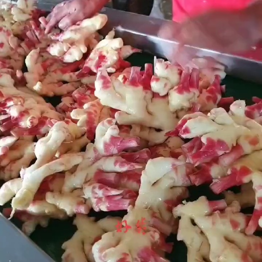 二黄姜  贵州仔姜，味道辛辣爽口，6月大量上市，产地直发值得
