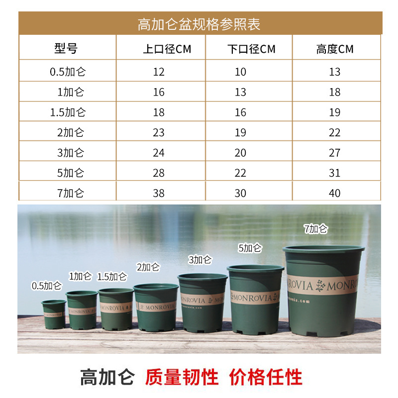 二代矮胖加仑盆 阳台多肉盆绿萝月季控根盆树脂塑料花盆