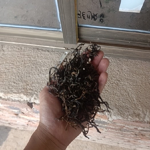 凤庆县新白茶 春茶，味道醇厚