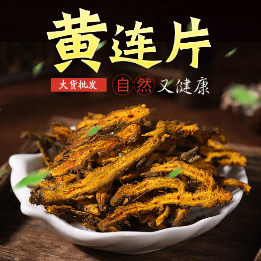 亳州黄连片 批发黄连规格齐全 产地一手货源可供大货优质黄连