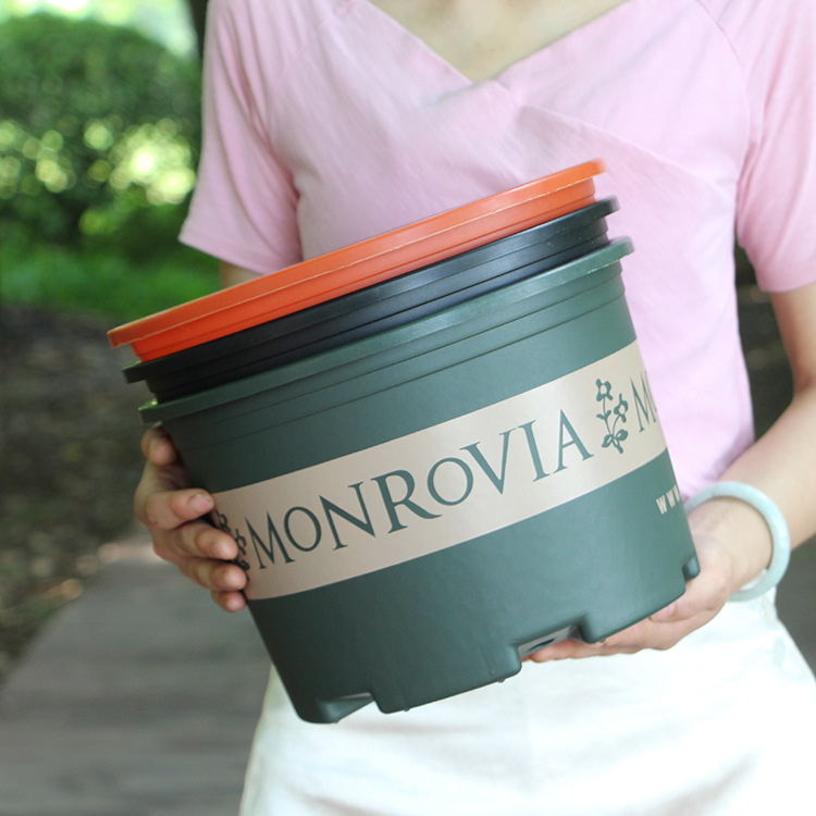 二代矮胖加仑盆 阳台多肉盆绿萝月季控根盆树脂塑料花盆