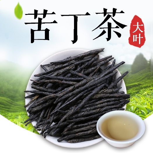 亳州苦丁茶 优质净货大叶苦丁茶 规格齐全可供批发零售量大从优