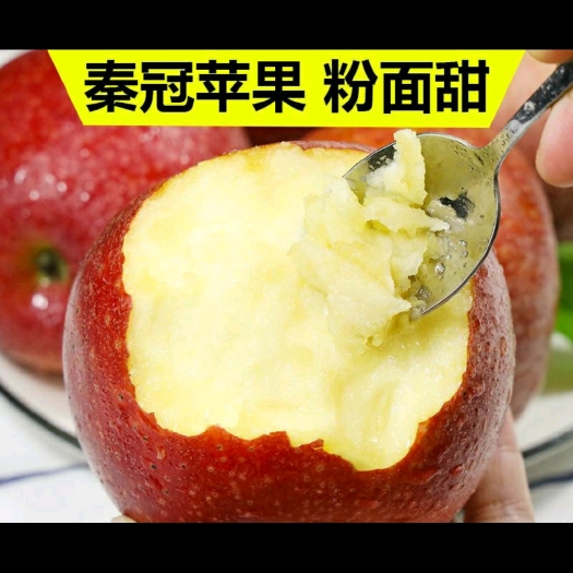 【好吃的秦冠粉苹果】陕西秦冠粉苹果新鲜水果香甜粉面