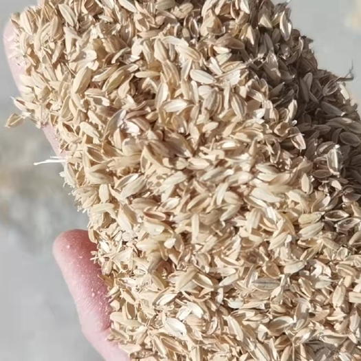 鱼台县【优质稻壳】济宁优质新鲜稻壳，厂家直销，保质保量，量大优惠