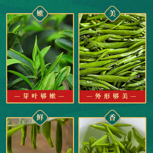 吉首市黄金茶 湘西绿茶