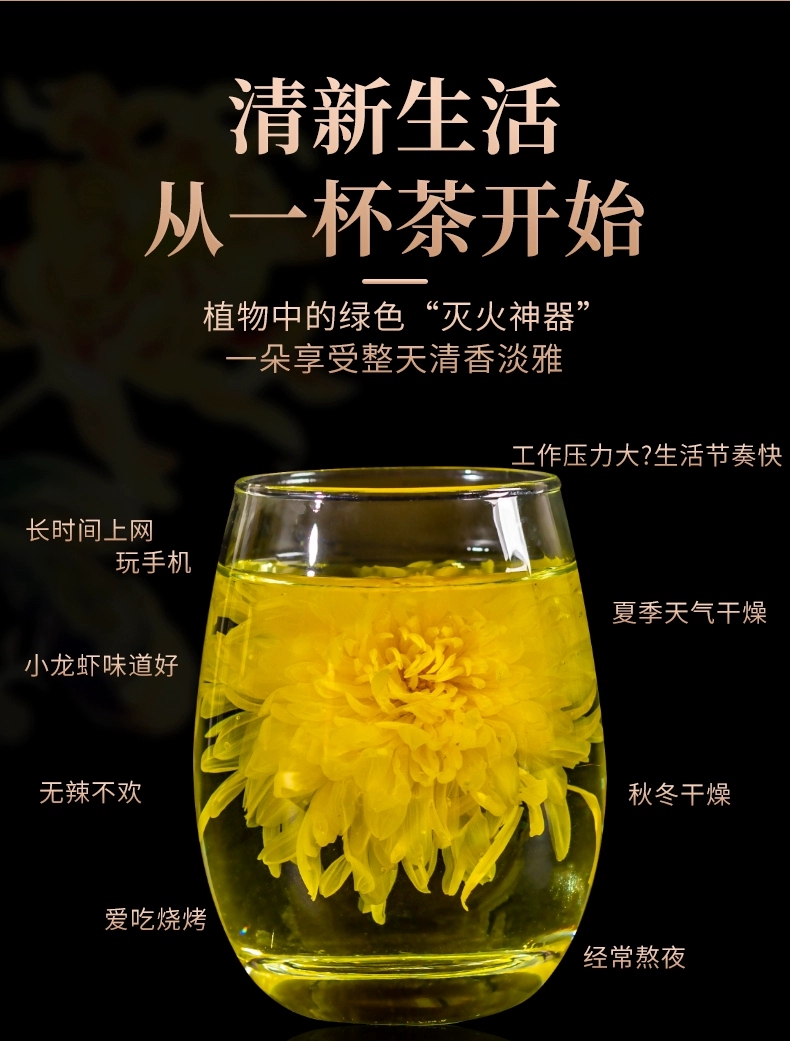 菊花茶  金丝皇菊茶 新茶上市 一杯一朵 茶中贵族