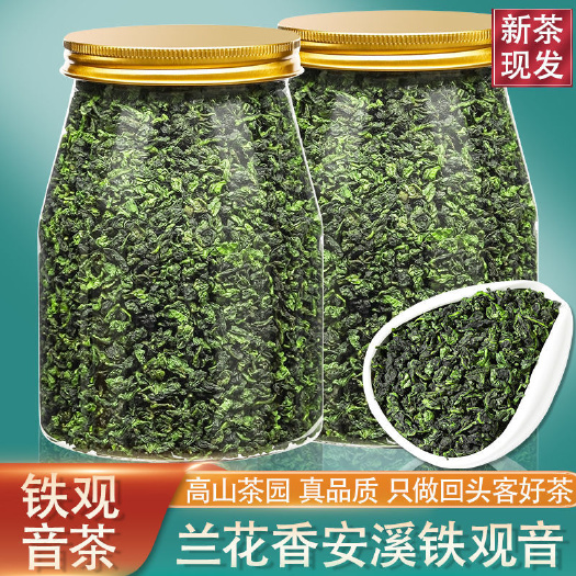 思茅 新茶正宗安溪铁观音茶叶批发兰花香高山乌龙绿茶浓香型罐装礼盒装