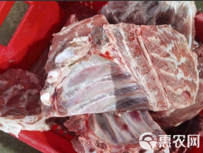 无颈前排 排骨 肋排猪排骨带颈排骨国产无颈前排肋排条多肉前排