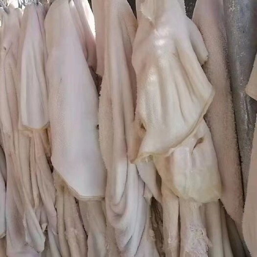 惠民县牛杂 牛肚，半成品牛肚