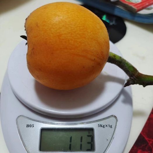 绥江县 云南四川边境五星大枇杷超甜品相好